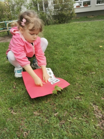 Messenger_creation_9D27B24C-19B2-4F38-8552-45F5C6443BE3.jpeg