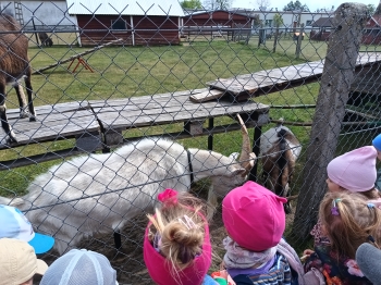 IMG_20250514_103916623_HDR