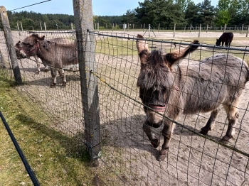IMG_20250514_103800568_HDR