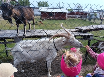 IMG_20250514_103914674_HDR