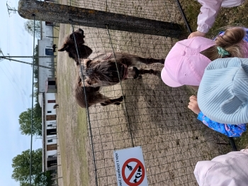 IMG_20250514_103459362_HDR