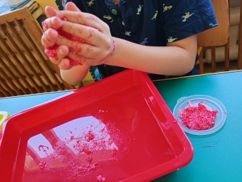 inbound8129796623074186211