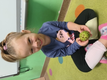 IMG_20250922_090537211