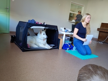 inbound4915800604143907593