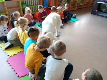 inbound3093997547440399381