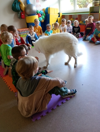 inbound3762289045654444842