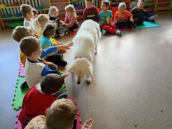 inbound5927842186838011874