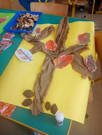 inbound3773869669217387316