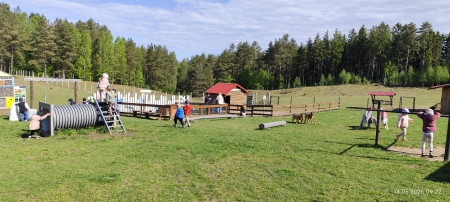 Wycieczki 